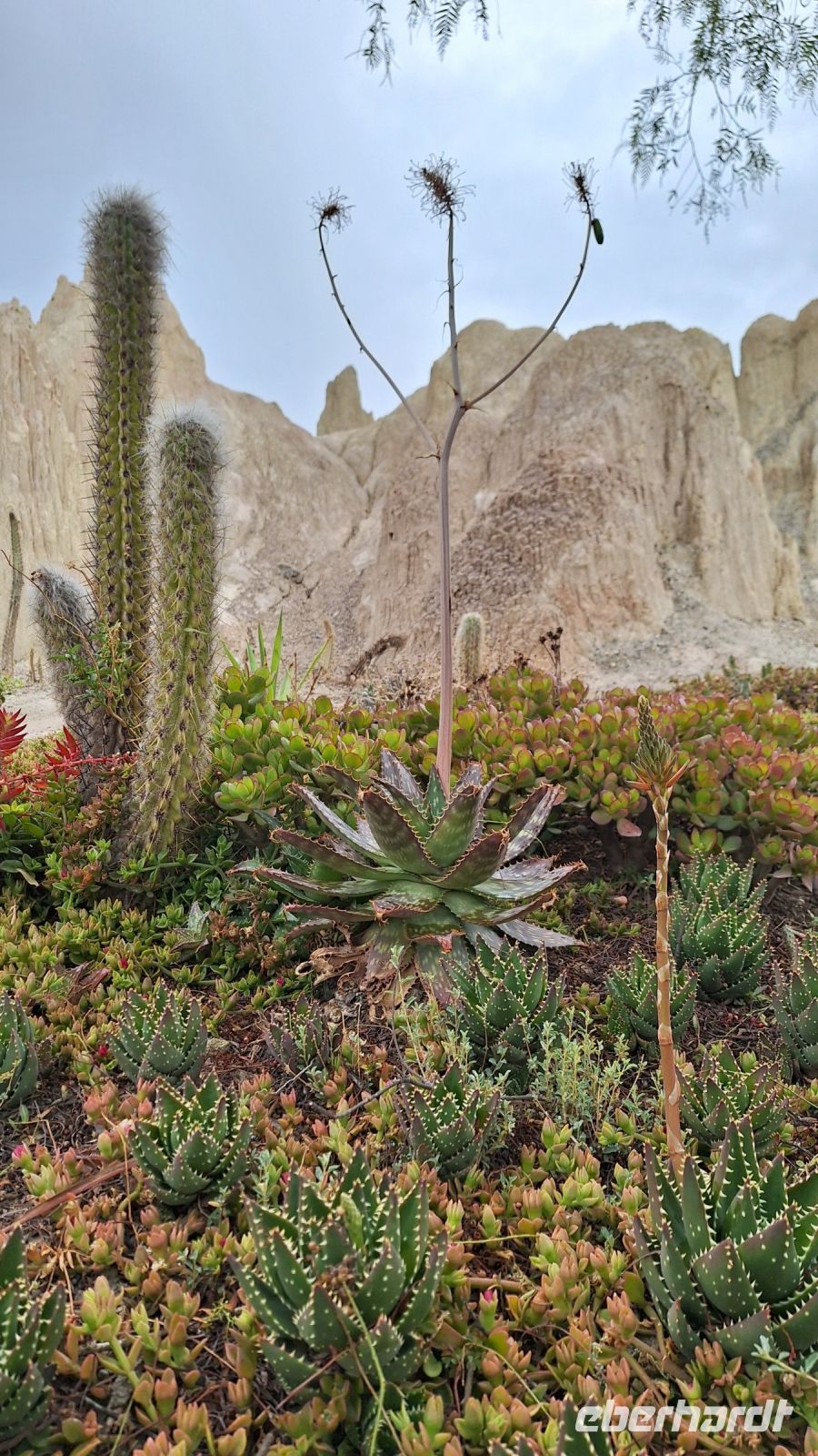 La Paz: Valle de la Luna &ndash; &copy; Sinah Witzig (Eberhardt TRAVEL)