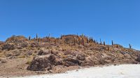 Uyuni Salzsee: Insel Incahuasi &ndash; &copy; Sinah Witzig (Eberhardt TRAVEL)