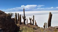 Uyuni Salzsee: Insel Incahuasi &ndash; &copy; Sinah Witzig (Eberhardt TRAVEL)
