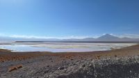 Laguna Colorada &ndash; &copy; Sinah Witzig (Eberhardt TRAVEL)