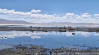 Laguna Salada &ndash; &copy; Sinah Witzig (Eberhardt TRAVEL)