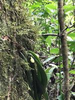 79 Amboro Nationalpark &ndash; &copy; Marianne Förster (Eberhardt TRAVEL)
