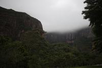 106 Amboro Nationalpark &ndash; &copy; Marianne Förster (Eberhardt TRAVEL)
