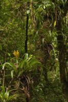 110 Amboro Nationalpark &ndash; &copy; Marianne Förster (Eberhardt TRAVEL)