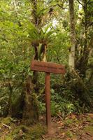 122 Amboro Nationalpark &ndash; &copy; Marianne Förster (Eberhardt TRAVEL)