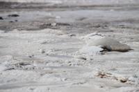 Salar de Uyuni &ndash; &copy; Marianne Förster (Eberhardt TRAVEL)