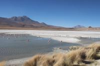 Lagune Hedionda &ndash; &copy; Marianne Förster (Eberhardt TRAVEL)