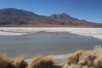Lagune Hedionda &ndash; &copy; Marianne Förster (Eberhardt TRAVEL)