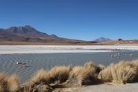 Lagune Hedionda &ndash; &copy; Marianne Förster (Eberhardt TRAVEL)