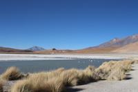 Lagune Hedionda &ndash; &copy; Marianne Förster (Eberhardt TRAVEL)