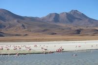 Lagune Hedionda &ndash; &copy; Marianne Förster (Eberhardt TRAVEL)