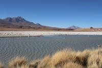 Lagune Hedionda &ndash; &copy; Marianne Förster (Eberhardt TRAVEL)