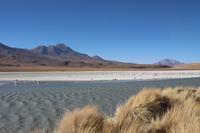 Lagune Hedionda &ndash; &copy; Marianne Förster (Eberhardt TRAVEL)