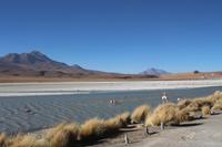 Lagune Hedionda &ndash; &copy; Marianne Förster (Eberhardt TRAVEL)