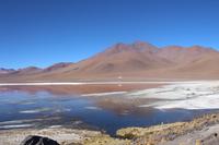 Laguna Colorada &ndash; &copy; Marianne Förster (Eberhardt TRAVEL)