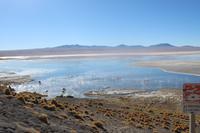 Laguna Colorada &ndash; &copy; Marianne Förster (Eberhardt TRAVEL)