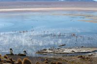 Laguna Colorada &ndash; &copy; Marianne Förster (Eberhardt TRAVEL)