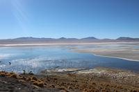 Laguna Colorada &ndash; &copy; Marianne Förster (Eberhardt TRAVEL)