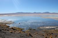 Laguna Colorada &ndash; &copy; Marianne Förster (Eberhardt TRAVEL)
