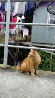 31. Besuch des Dorfs Salak &ndash; &copy; Teresa Rumpel (Eberhardt TRAVEL)