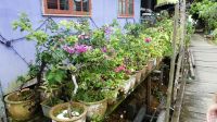 37. Besuch des Dorfs Salak &ndash; &copy; Teresa Rumpel (Eberhardt TRAVEL)