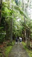 63. Bako Nationalpark &ndash; &copy; Teresa Rumpel (Eberhardt TRAVEL)
