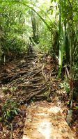 79. Bako Nationalpark &ndash; &copy; Teresa Rumpel (Eberhardt TRAVEL)