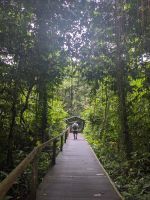 167. Mulu Nationalpark &ndash; &copy; Teresa Rumpel (Eberhardt TRAVEL)