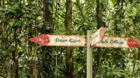 168. Mulu Nationalpark &ndash; &copy; Teresa Rumpel (Eberhardt TRAVEL)