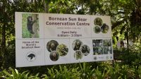 345. Sun Bear Auffangstation &ndash; &copy; Teresa Rumpel (Eberhardt TRAVEL)