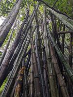 456. La Rasa Ria Reserve &ndash; &copy; Teresa Rumpel (Eberhardt TRAVEL)