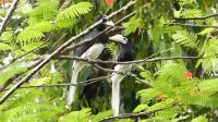 462. La Rasa Ria Reserve &ndash; &copy; Teresa Rumpel (Eberhardt TRAVEL)