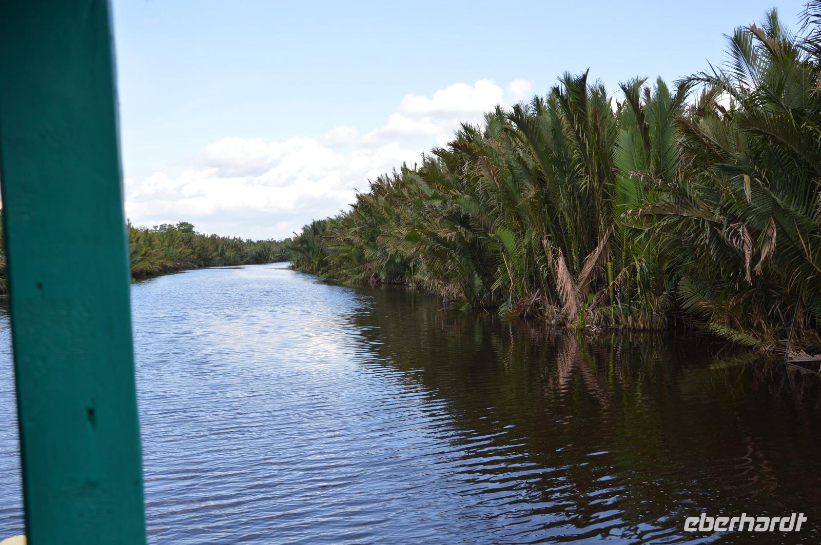 Kalimantan auf dem Sekoyer &ndash; &copy; Hubert Lücker (Eberhardt TRAVEL)