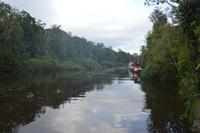Kalimantan Sekoyer &ndash; &copy; Hubert Lücker (Eberhardt TRAVEL)