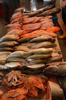 Kuching markt