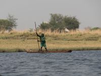 Kanu Tour auf dem Chobe - Fischer &ndash; &copy; Annett Müller (Eberhardt TRAVEL)