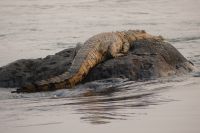Bootstour Okavango &ndash; &copy; Frank Nimschowski (Eberhardt TRAVEL)