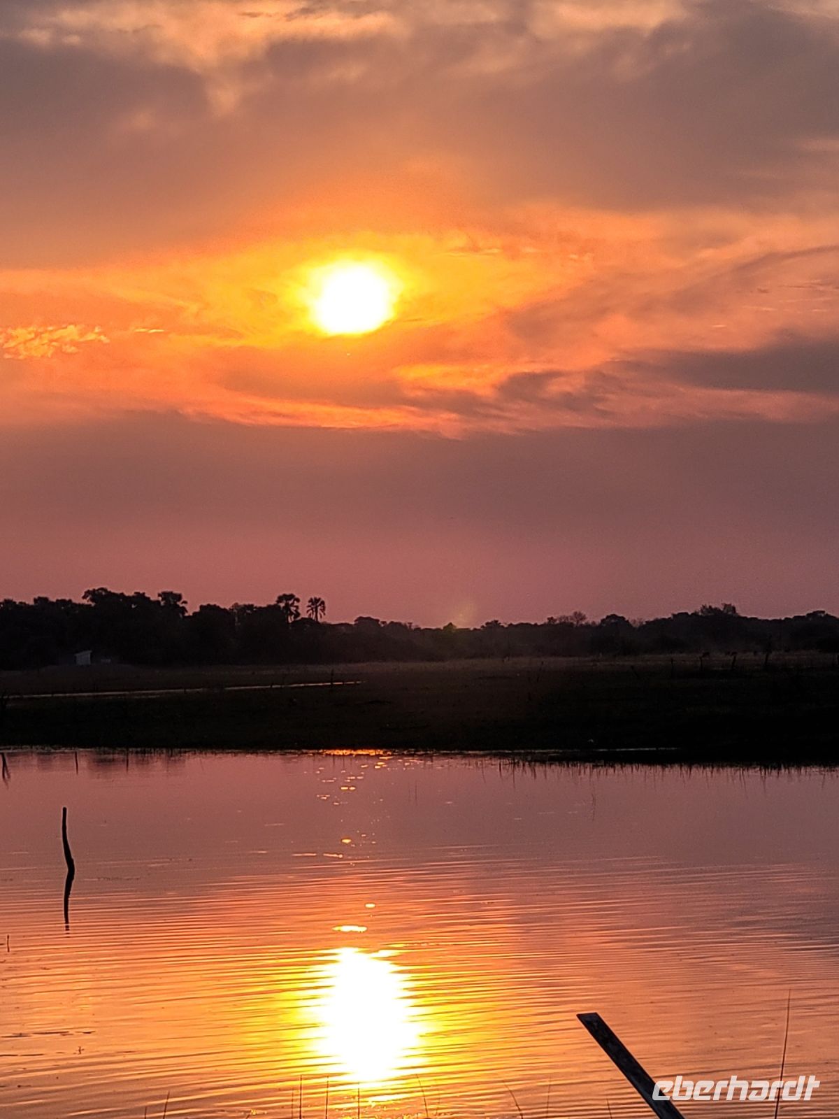 037 Thamalakane River Lodge &ndash; &copy; Jens Petzoldt (Eberhardt TRAVEL)