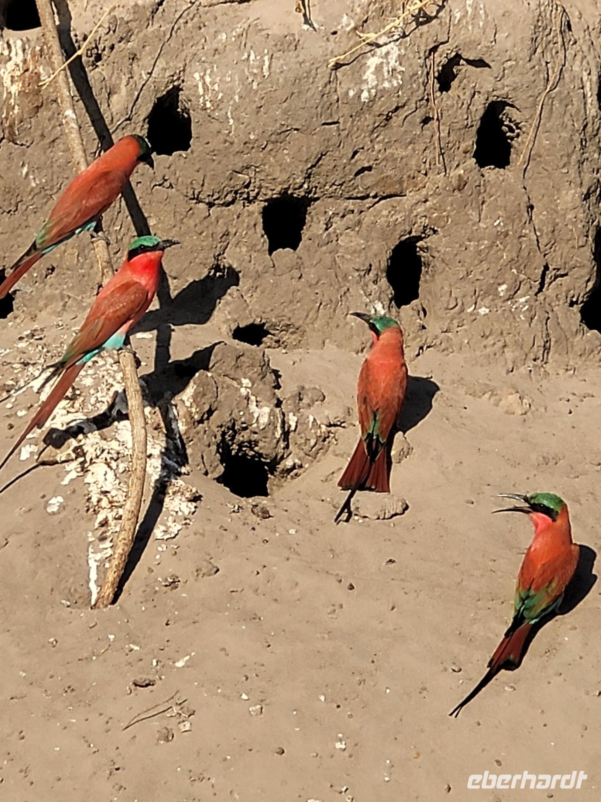 115 Bootstour auf dem Kavango &ndash; &copy; Jens Petzoldt (Eberhardt TRAVEL)