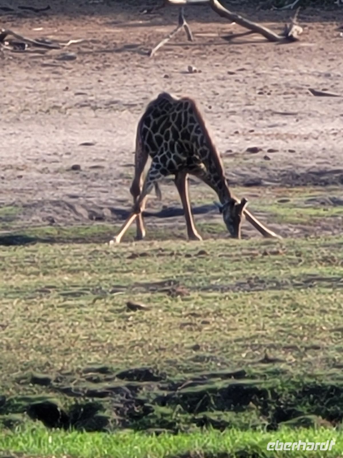 202 Bootstour auf dem Chobe &ndash; &copy; Jens Petzoldt (Eberhardt TRAVEL)