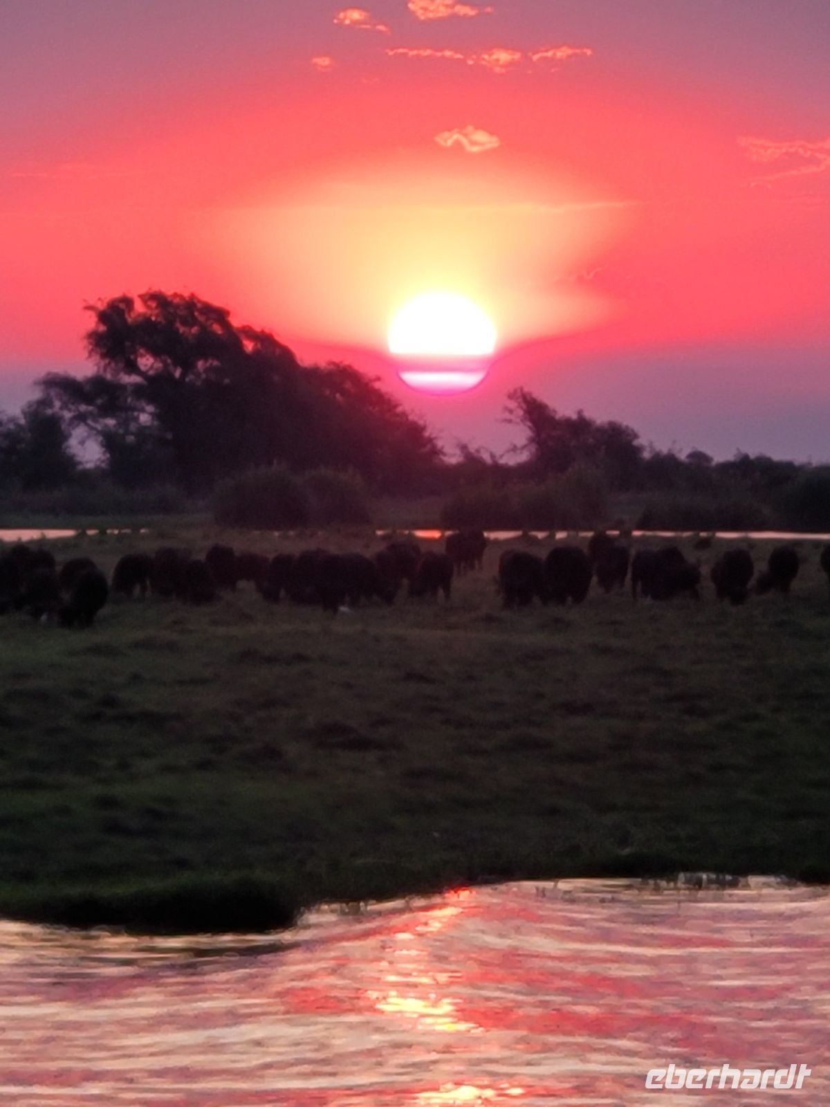 209 Bootstour auf dem Chobe &ndash; &copy; Jens Petzoldt (Eberhardt TRAVEL)