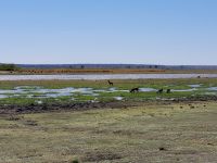 103 Mahango Park