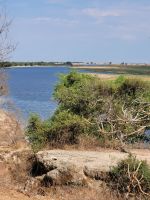 188 Chobe Nationalpark &ndash; &copy; Jens Petzoldt (Eberhardt TRAVEL)