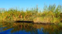Namibia - Bootsfahrt auf dem Kwando  &ndash; &copy; Annett Müller (Eberhardt TRAVEL)