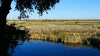 Namibia - Bye, Bye Kwando &ndash; &copy; Annett Müller (Eberhardt TRAVEL)