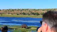 Botswana - Bootsfahrt auf dem Chobe &ndash; &copy; Annett Müller (Eberhardt TRAVEL)