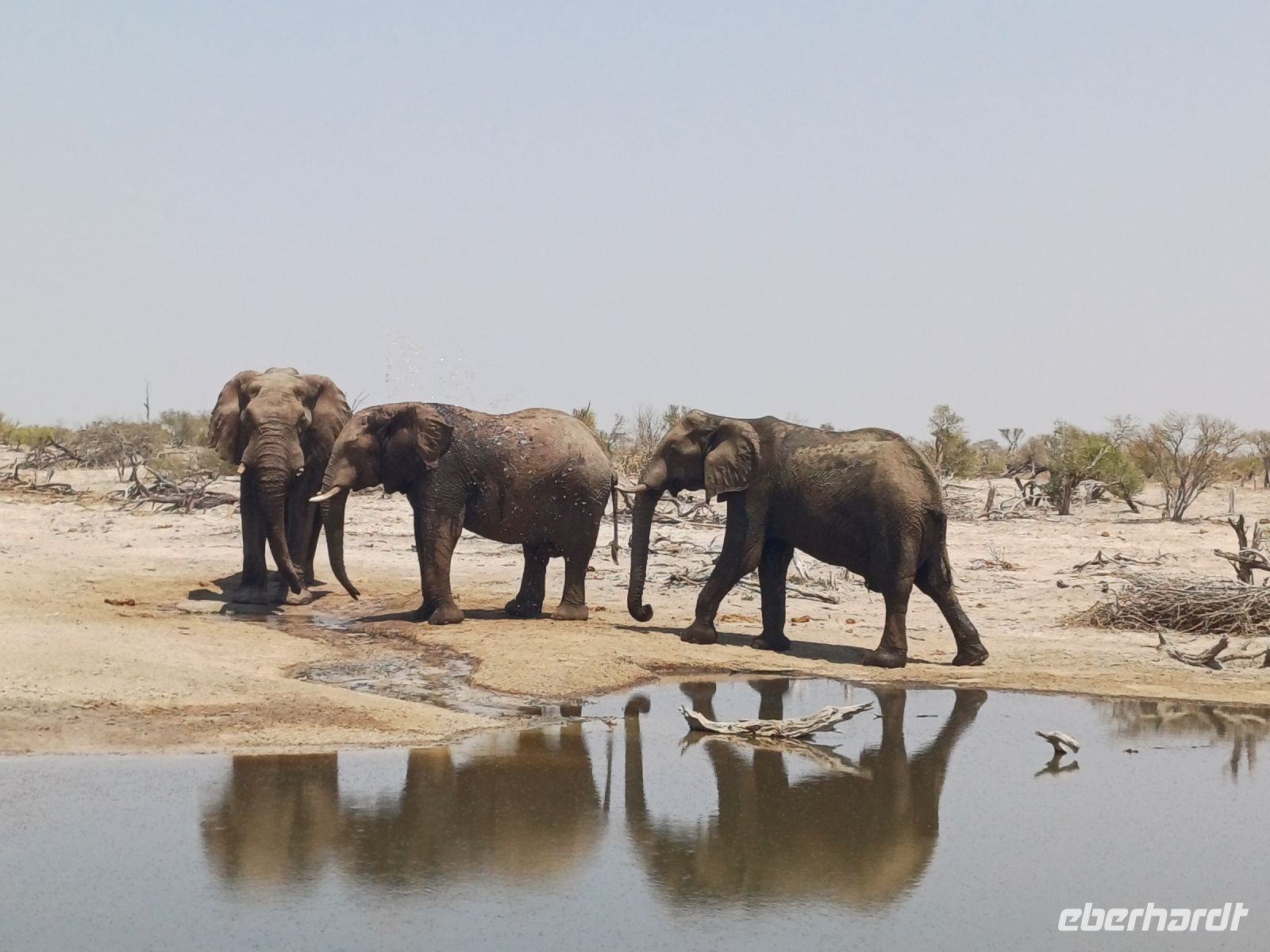 auf dem Weg nach Elephant Sands.jpg &ndash; &copy; Kathrin Mickan (Eberhardt TRAVEL)