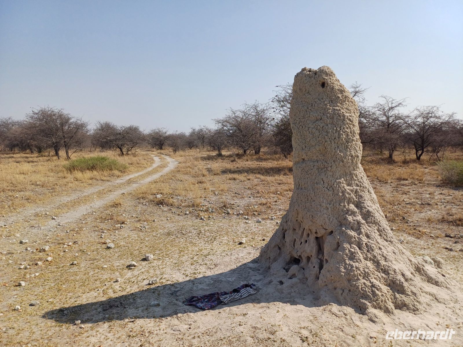 Termitenhügel Richtung Maun.jpg &ndash; &copy; Kathrin Mickan (Eberhardt TRAVEL)