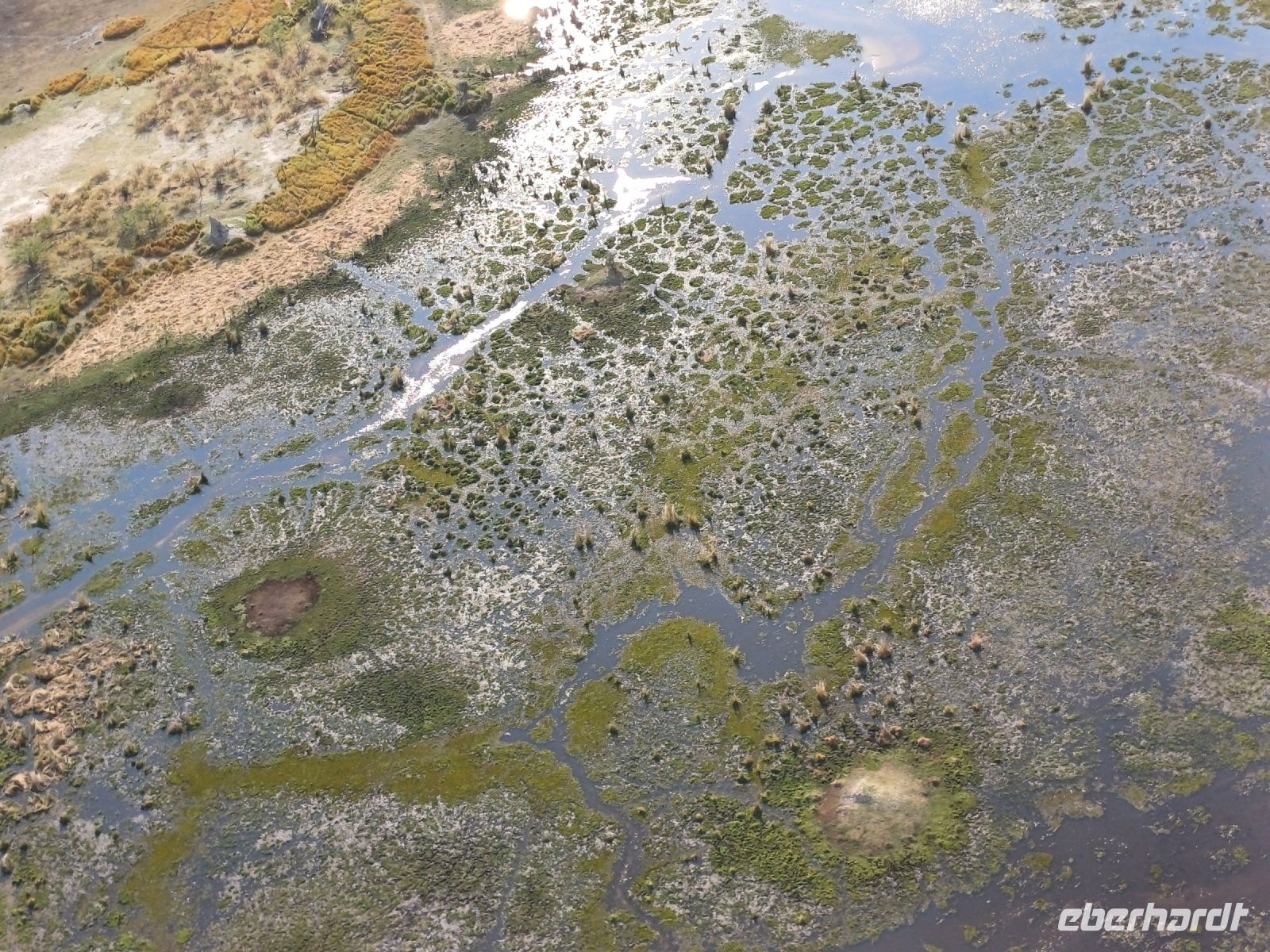 Heli-Flug Okavango Delta.jpg &ndash; &copy; Kathrin Mickan (Eberhardt TRAVEL)
