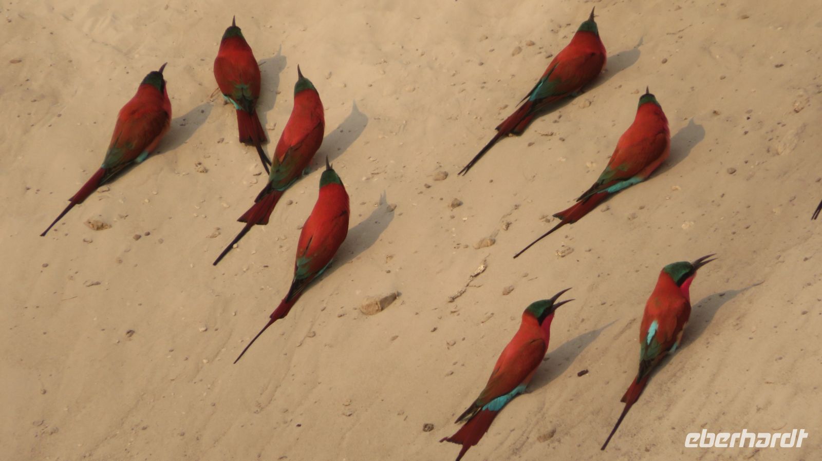 &copy; Kathrin Mickan (Eberhardt TRAVEL)